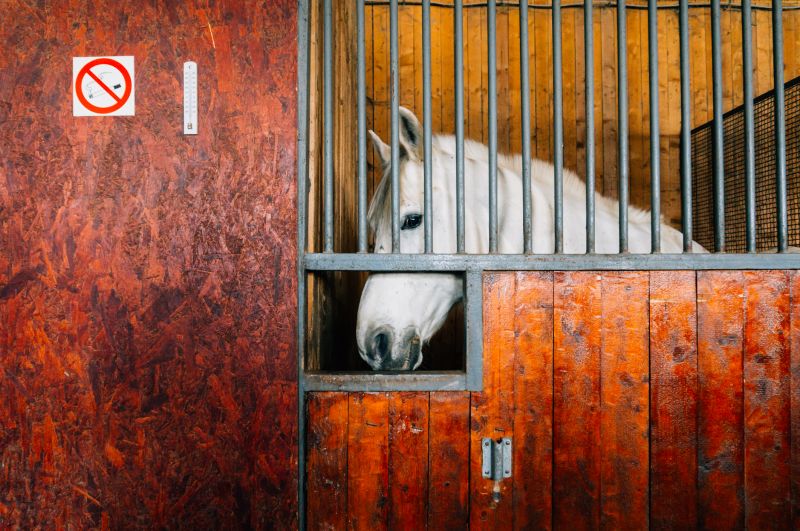 Specialized Security Door Manufacturers